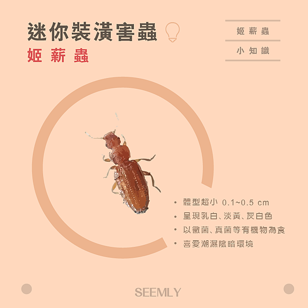 姬薪蟲.png 姬薪蟲.png
