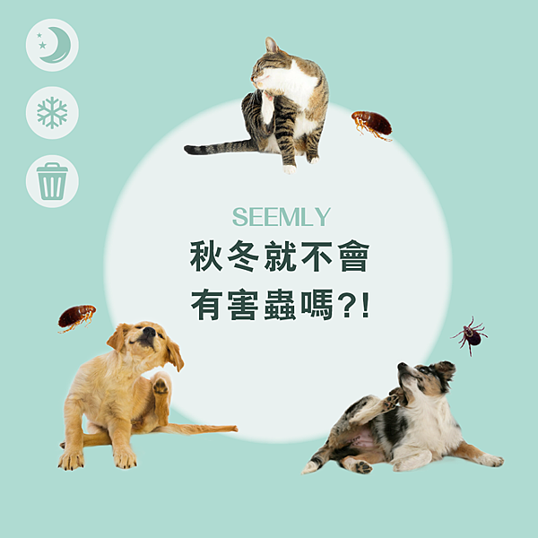 冬天的蟲蟲.png 冬天的蟲蟲.png