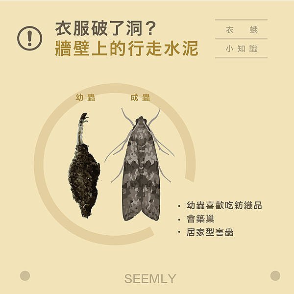 衣蛾.png 衣蛾.png