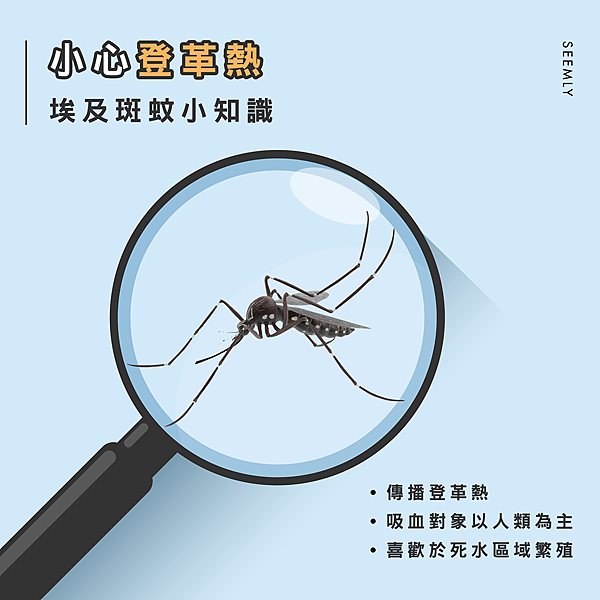蚊子登革熱.jpg 蚊子登革熱.jpg