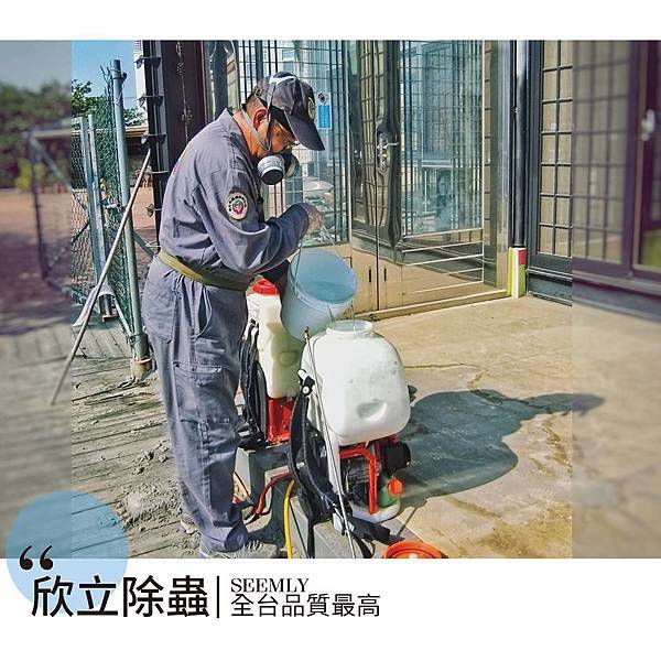 欣立除蟲.jpg 欣立除蟲.jpg