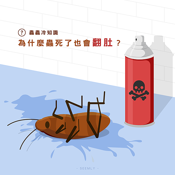 蟑螂翻肚.png 蟑螂翻肚.png