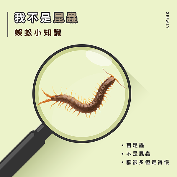 蜈蚣不是昆蟲.png 蜈蚣不是昆蟲.png