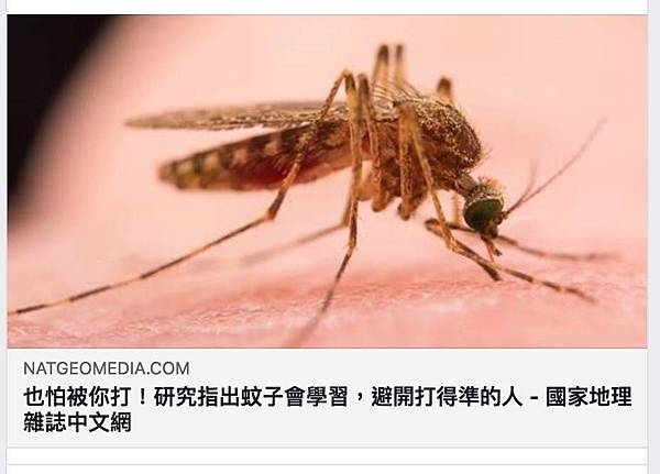 蚊子除蟲.jpg 蚊子除蟲.jpg