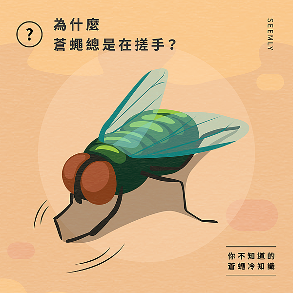 蒼蠅搓手.jpg 蒼蠅搓手.jpg