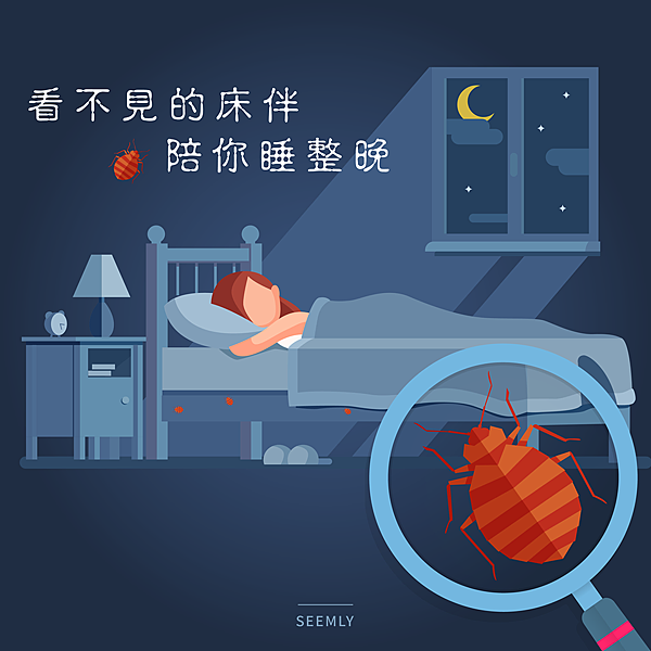 半夜蟲.png 半夜蟲.png