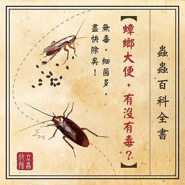蟑螂大便有沒有毒.jpg 蟑螂大便有沒有毒.jpg