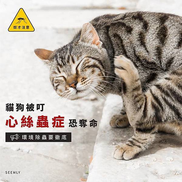 心絲蟲症.jpg 心絲蟲症.jpg