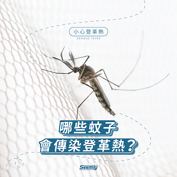 小心登革熱.png 小心登革熱.png