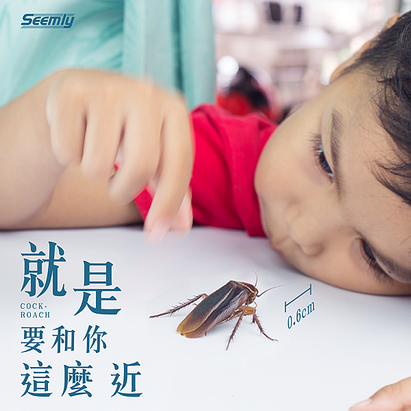 蟑螂世界.png 蟑螂世界.png