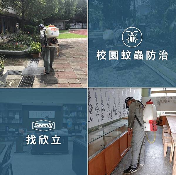 登革熱.jpg 登革熱.jpg