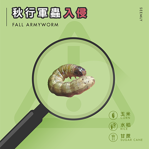 秋行軍蟲.png 秋行軍蟲.png