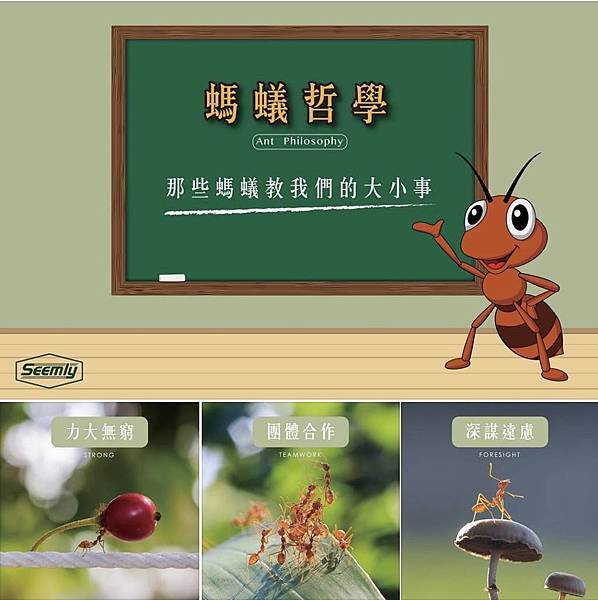 家裡有螞蟻該怎麼消滅?.jpg 家裡有螞蟻該怎麼消滅?.jpg
