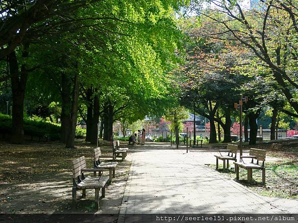 圖3 東京鐵塔旁的小公園.jpg