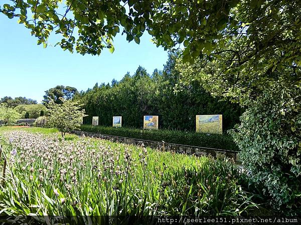 P33）療養院安靜的後花園.JPG