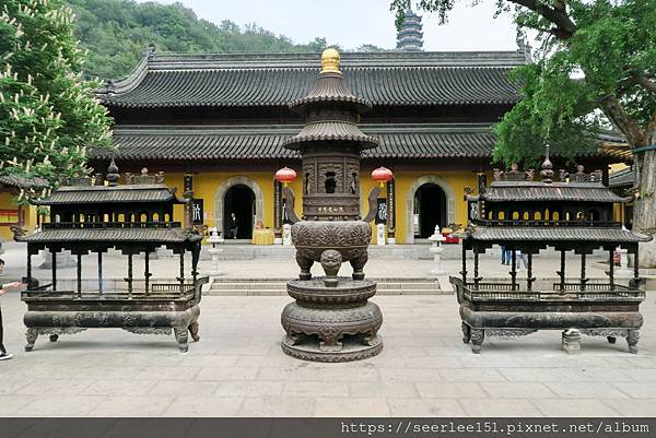 P6）焦山定慧寺以千年古樹聞名.jpg