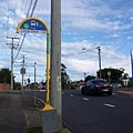 the bus stop