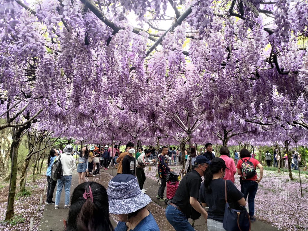 P_20220321_124445.jpg P_20220321_124445.jpg