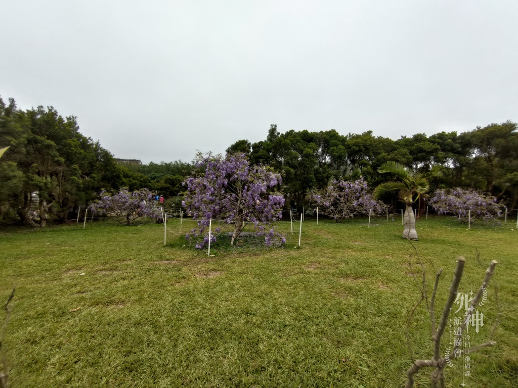 P_20220321_170126.jpg P_20220321_170126.jpg