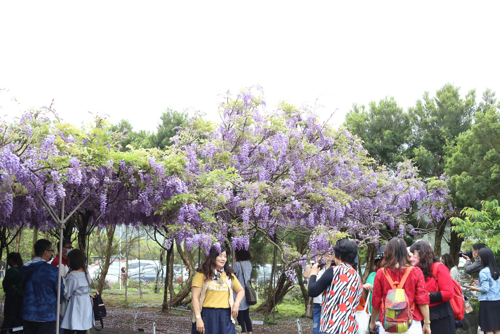 20220321-122.jpg 20220321-122.jpg