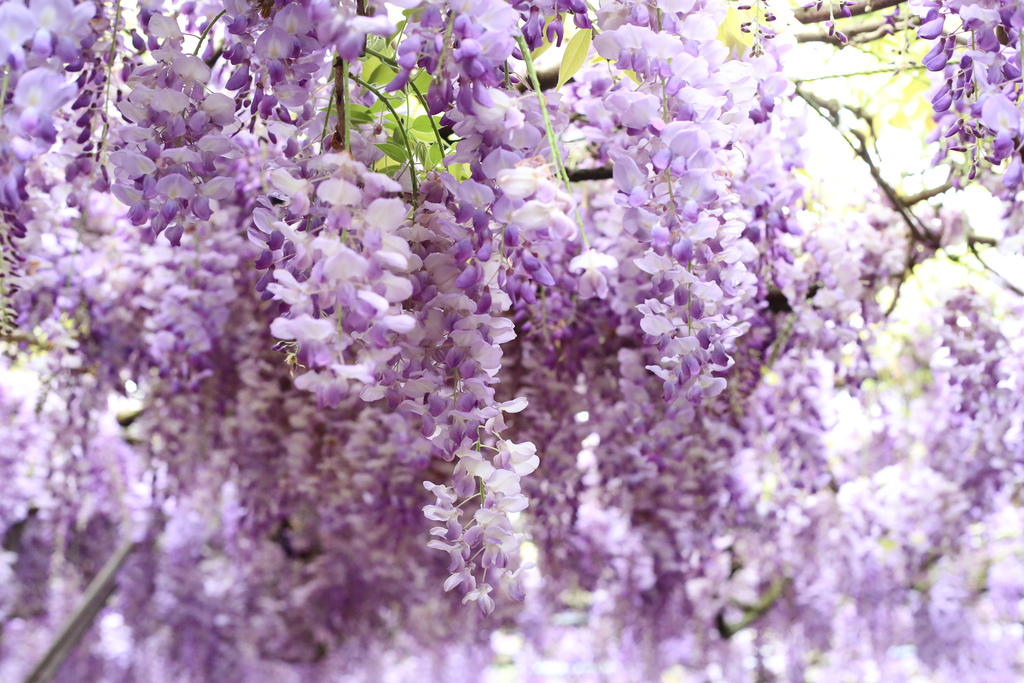 20220321-133.jpg 20220321-133.jpg