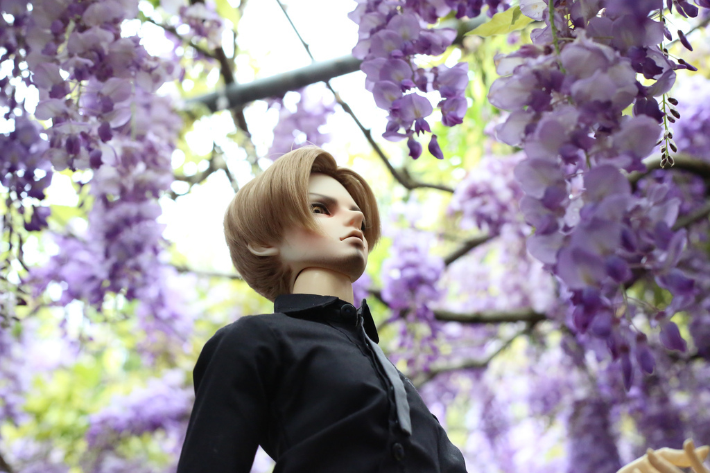 20220321-147.jpg 20220321-147.jpg