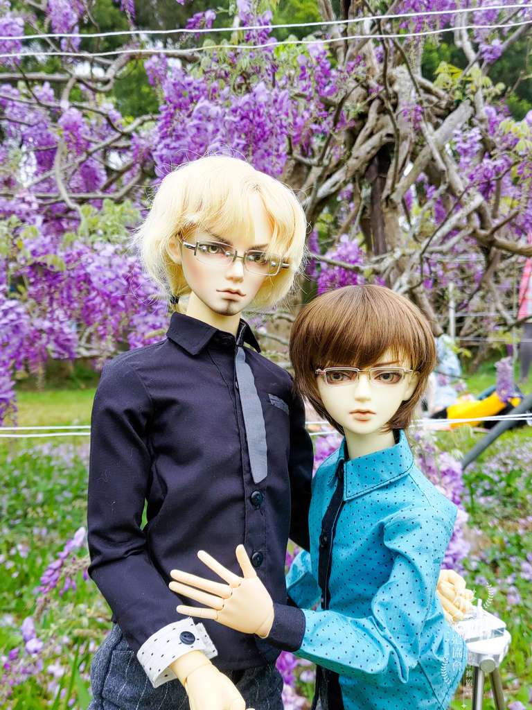 20220321-323.jpg 20220321-323.jpg