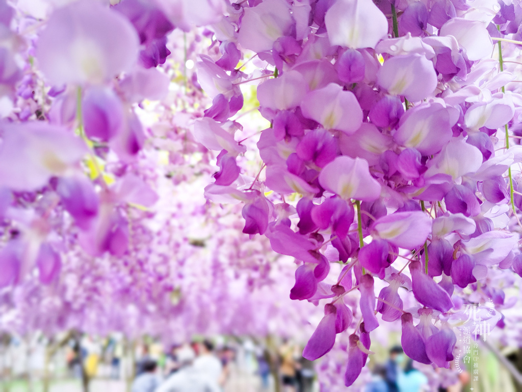 20220321-341.jpg 20220321-341.jpg