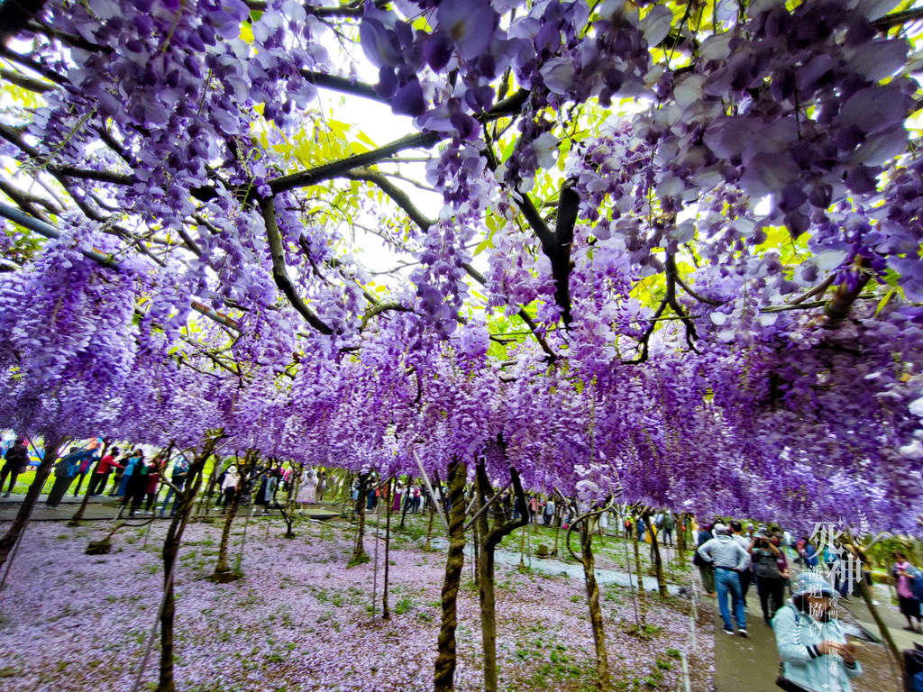 20220321-340.jpg 20220321-340.jpg