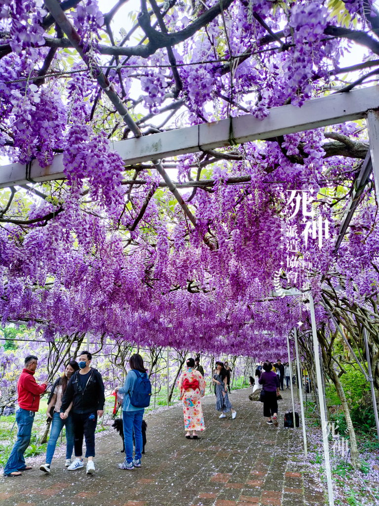 20220321-152.jpg 20220321-152.jpg