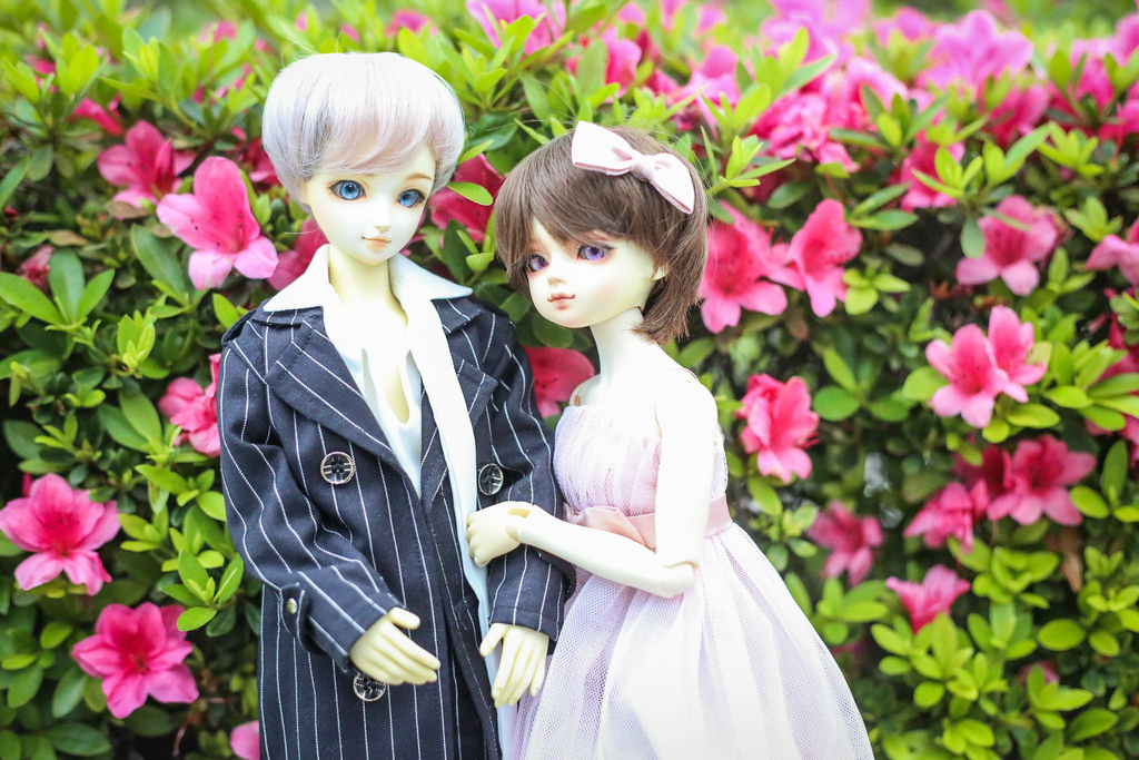 20220410-22.jpg 20220410-22.jpg