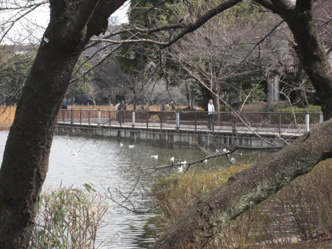 2008/3/02@上野公園