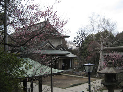 2008/3/02@上野公園