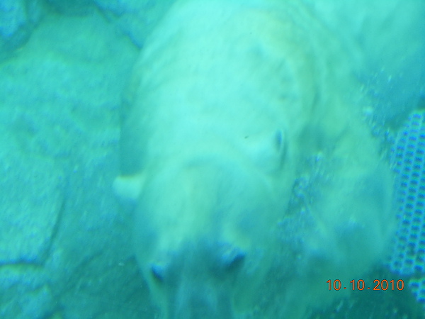 DSCN0758.JPG