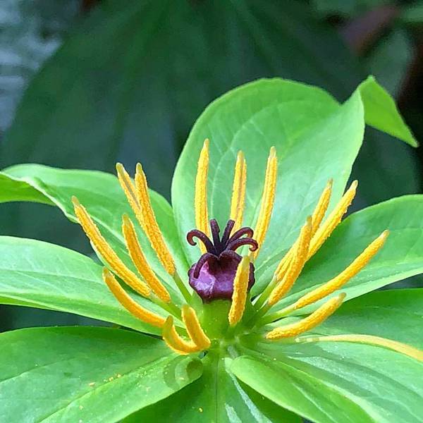 ☆☆自渡自救或靠神救？