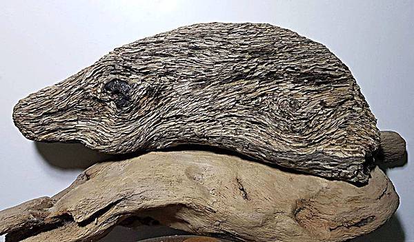 37314950_2159198377427715_1670074135851565056_n