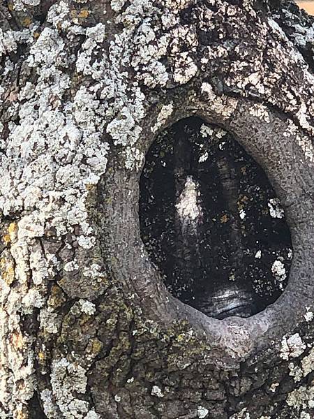 美國.jpg 美國.jpg