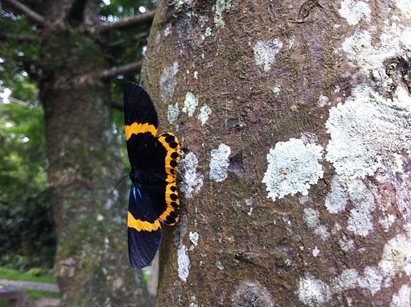 1005598_485349801540419_291684999_n.jpg 1005598_485349801540419_291684999_n.jpg