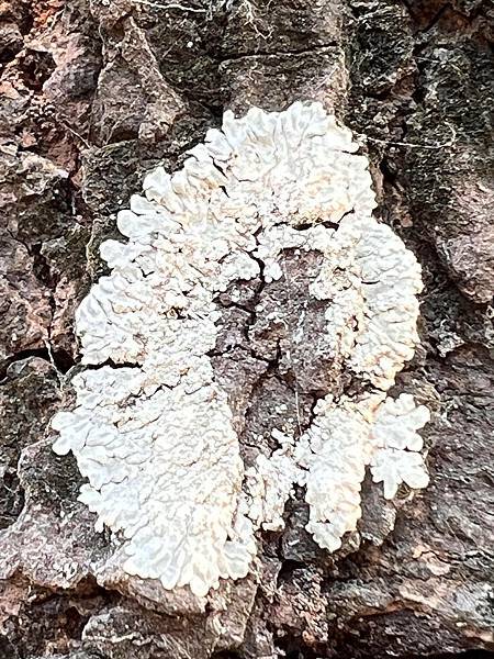 ☆☆ 最有效的預防醫學---賽斯