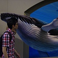 日本幻視藝術畫展_鯨魚