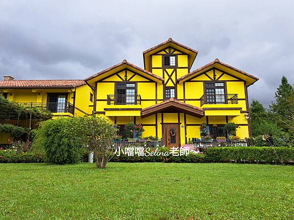 桃園大西黃色小屋咖啡莊園Yellow House_449
