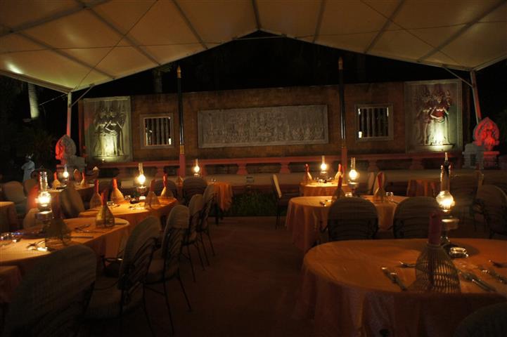 DSC01245 DSC01245
