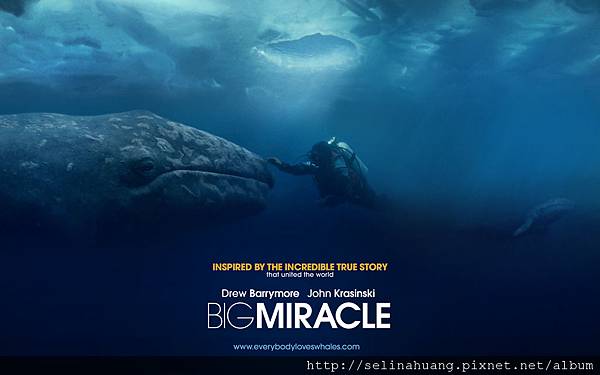 01bigmiracle_1920x1200 01bigmiracle_1920x1200