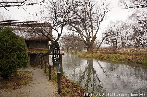 0838 DSC05400 大王山葵農場(日本導演黑澤明來取過景的).JPG