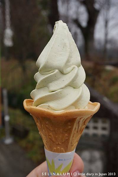 0975 DSC05518 山葵冰淇淋.JPG