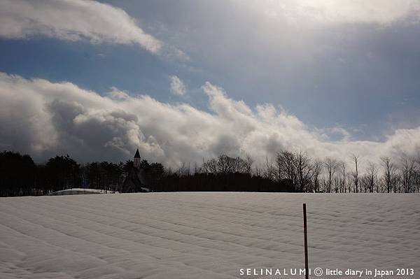 1656 DSC05924 雪之樂園.JPG