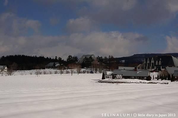 1661 DSC05929 雪之樂園.JPG