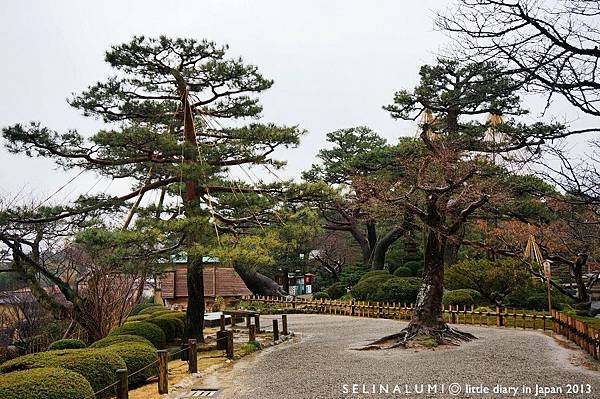 2280 DSC06327 日本三大庭園～【兼六園】.JPG