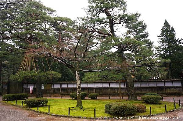 2317 DSC06364 日本三大庭園～【兼六園】.JPG