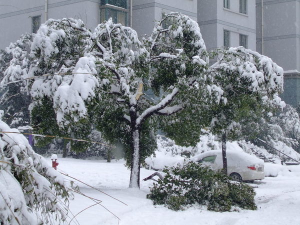 080128 暴雪第三天